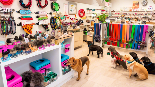 A bustling, vibrant dog accessories shop with friendly staff and happy customers, featuring a wide array of colorful dog collars, leashes, toys, and beds. The scene is set in a quaint, friendly neighb