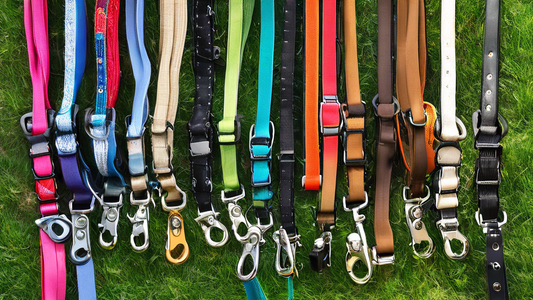 An array of different dog leashes displayed in an organized manner, showcasing various materials like leather, nylon, and rope, and including features such as retractable leashes, adjustable handles, 