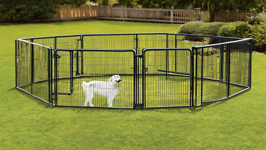 Create a detailed scene of a spacious, sturdy exercise pen designed for large dogs. The pen should be set up in a sunny, well-maintained backyard with plenty of space for the dogs to move around. Incl