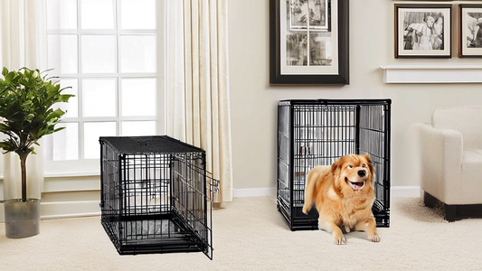 Create an image of a variety of medium-sized dog crates available on Amazon. Include different styles such as wire crates, plastic crates, and soft-sided crates in various colors. Display them in a wa