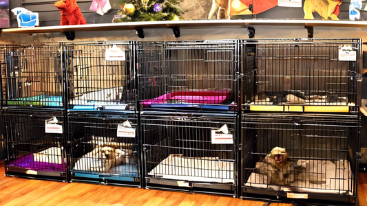 Create an image showcasing a variety of Voyager dog crates in a pet store setting. The image should depict different sizes and styles of crates, with labels indicating features such as 'durable materi
