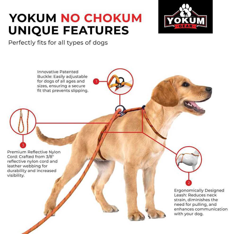 (Bundle) Jerry Yokum's Ultimate Bird Hunting & Off-Leash Training System