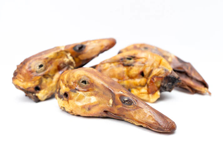Duck Heads