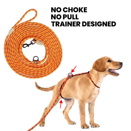 YOKUM GEAR - Yokum No Chokum & No Pull You