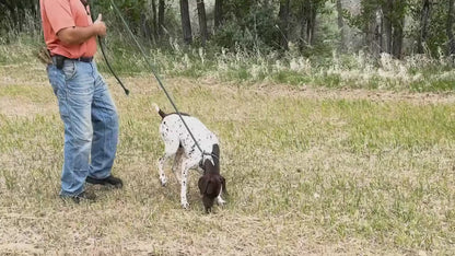 YOKUM GEAR - No Pull No Choke Dog Leash