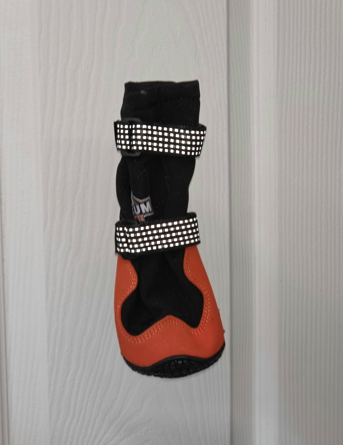 Yokum Gear dog boot with reflective straps